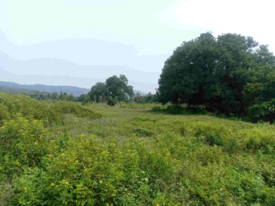 Farm land Anchetty